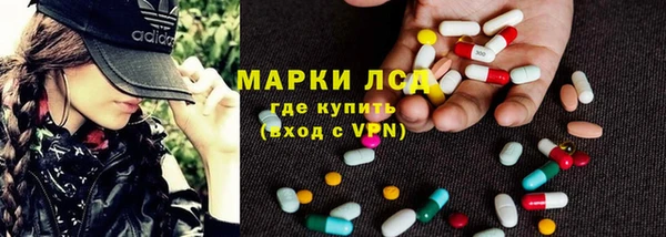 прущий лед Богданович