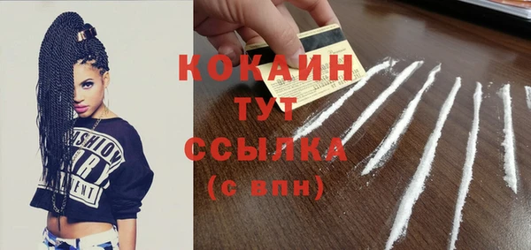 прущий лед Богданович