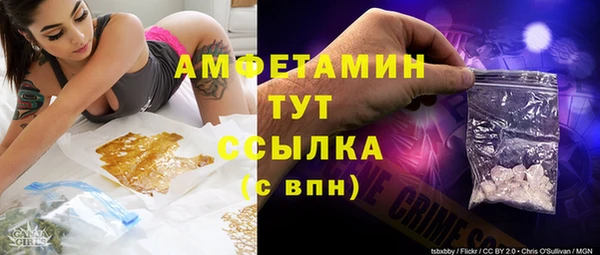 прущий лед Богданович
