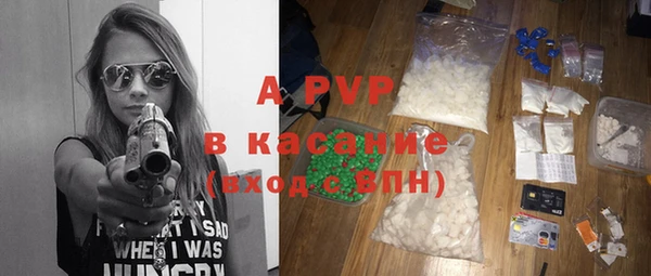 твердый Корсаков